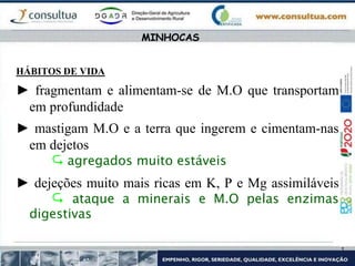 HÁBITOS DE VIDA
► fragmentam e alimentam-se de M.O que transportam
em profundidade
► mastigam M.O e a terra que ingerem e cimentam-nas
em dejetos
 agregados muito estáveis
► dejeções muito mais ricas em K, P e Mg assimiláveis
 ataque a minerais e M.O pelas enzimas
digestivas
MINHOCAS
 