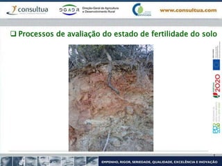  Processos de avaliação do estado de fertilidade do solo
 