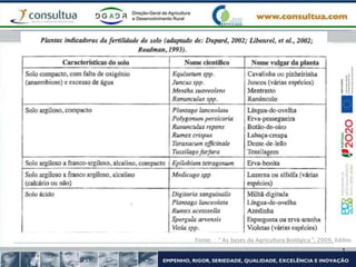 Fonte: “ As bases da Agricultura Biológica ”, 2009, Edibio
 