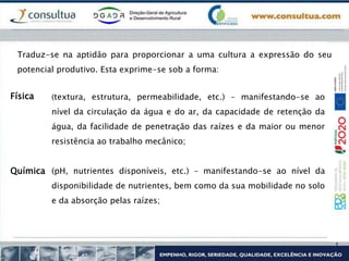 Traduz-se na aptidão para proporcionar a uma cultura a expressão do seu
potencial produtivo. Esta exprime-se sob a forma:
(textura, estrutura, permeabilidade, etc.) – manifestando-se ao
nível da circulação da água e do ar, da capacidade de retenção da
água, da facilidade de penetração das raízes e da maior ou menor
resistência ao trabalho mecânico;
Física
(pH, nutrientes disponíveis, etc.) – manifestando-se ao nível da
disponibilidade de nutrientes, bem como da sua mobilidade no solo
e da absorção pelas raízes;
Química
 