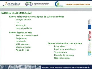 Fatores relacionados com a época de cultura e colheita
FATORES DE ACUMULAÇÃO
Estação do ano
Luz
Maturação
Hora de colheita
Fatores ligados ao solo
Teor de azoto mineral
Arejamento
Humidade
M.O. do solo
Micronutrientes
Água de rega
Fatores relacionados com a planta
Parte aérea
Espécies e variedades
Temperatura
Dióxido de carbono
Idade da planta
 