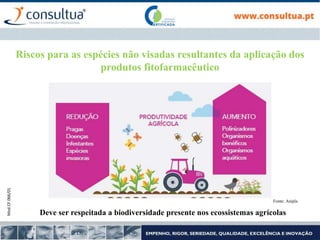 Mod.CF.066/01
Riscos para as espécies não visadas resultantes da aplicação dos
produtos fitofarmacêutico
Deve ser respeitada a biodiversidade presente nos ecossistemas agrícolas
Fonte: Anipla
 