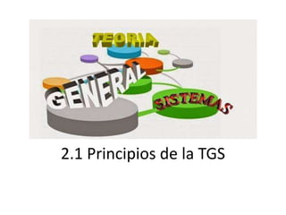 2.1 Principios de la TGS
 