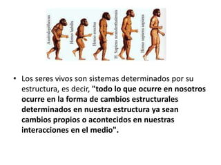 • Los seres vivos son sistemas determinados por su
estructura, es decir, "todo lo que ocurre en nosotros
ocurre en la forma de cambios estructurales
determinados en nuestra estructura ya sean
cambios propios o acontecidos en nuestras
interacciones en el medio".
 