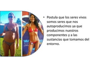 • Postula que los seres vivos
somos seres que nos
autoproducimos ya que
producimos nuestros
componentes y a las
sustancias que tomamos del
entorno.
 
