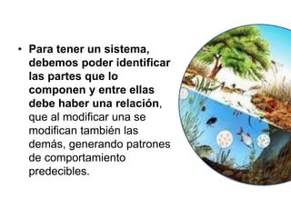 • Para tener un sistema,
debemos poder identificar
las partes que lo
componen y entre ellas
debe haber una relación,
que al modificar una se
modifican también las
demás, generando patrones
de comportamiento
predecibles.
 