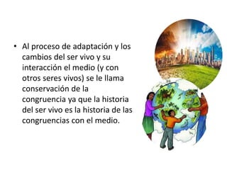 • Al proceso de adaptación y los
cambios del ser vivo y su
interacción el medio (y con
otros seres vivos) se le llama
conservación de la
congruencia ya que la historia
del ser vivo es la historia de las
congruencias con el medio.
 
