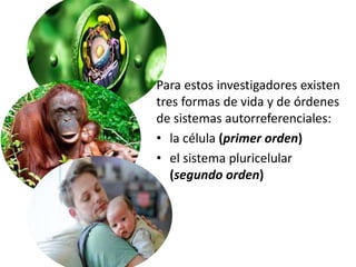 Para estos investigadores existen
tres formas de vida y de órdenes
de sistemas autorreferenciales:
• la célula (primer orden)
• el sistema pluricelular
(segundo orden)
 