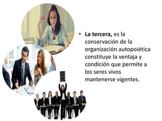 • La tercera, es la
conservación de la
organización autopoiética
constituye la ventaja y
condición que permite a
los seres vivos
mantenerse vigentes.
 