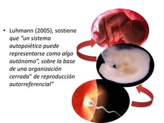 • Luhmann (2005), sostiene
que “un sistema
autopoiético puede
representarse como algo
autónomo”, sobre la base
de una organización
cerrada‟ de reproducción
autorreferencial”
 