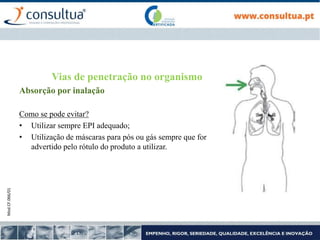 Mod.CF.066/01
Vias de penetração no organismo
Absorção por inalação
Como se pode evitar?
• Utilizar sempre EPI adequado;
• Utilização de máscaras para pós ou gás sempre que for
advertido pelo rótulo do produto a utilizar.
 