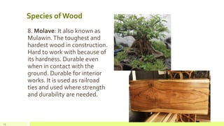 Species of Wood
8. Molave: It also known as
Mulawin.The toughest and
hardest wood in construction.
Hard to work with because of
its hardness. Durable even
when in contact with the
ground. Durable for interior
works. It is used as railroad
ties and used where strength
and durability are needed.
13
 