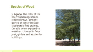 Species of Wood
3. Agoho:The color of the
heartwood ranges from
reddish brown, straight
gained or lightly crossed.
Moderately fine grained.
Durable when exposed to
weather. It is used in floor
joist, girders and as piles for
buildings.
8
 