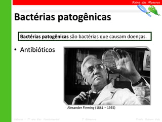 Reino dos Moneras




Bactérias patogênicas
    Bactérias patogênicas são bactérias que causam doenças.

• Antibióticos




                                     Alexander Fleming (1881 – 1955)


Ciências – 7º ano Ens. Fundamental            1º Bimestre                Profa. Rebeca Vale
 