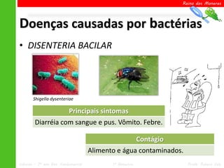 Reino dos Moneras




Doenças causadas por bactérias
• DISENTERIA BACILAR




       Shigella dysenteriae

                   Principais sintomas
        Diarréia com sangue e pus. Vômito. Febre.

                                                          Contágio
                                     Alimento e água contaminados.
Ciências – 7º ano Ens. Fundamental          1º Bimestre                Profa. Rebeca Vale
 