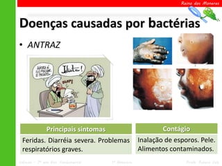 Reino dos Moneras




Doenças causadas por bactérias
• ANTRAZ




               Principais sintomas                         Contágio
 Feridas. Diarréia severa. Problemas               Inalação de esporos. Pele.
 respiratórios graves.                             Alimentos contaminados.
Ciências – 7º ano Ens. Fundamental   1º Bimestre                   Profa. Rebeca Vale
 