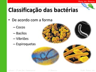 Reino dos Moneras




Classificação das bactérias
• De acordo com a forma
      – Cocos
      – Bacilos
      – Vibriões
      – Espiroquetas




Ciências – 7º ano Ens. Fundamental   1º Bimestre     Profa. Rebeca Vale
 