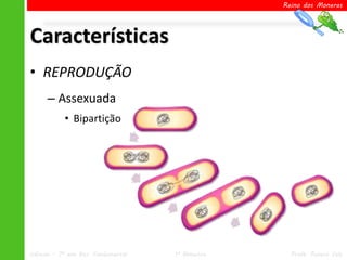 Reino dos Moneras




Características
• REPRODUÇÃO
      – Assexuada
            • Bipartição




Ciências – 7º ano Ens. Fundamental   1º Bimestre     Profa. Rebeca Vale
 