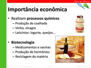 Reino dos Moneras




Importância econômica
• Realizam processos químicos
      – Produção de coalhada
      – Vinho, vinagre
      – Laticínios: iogurte, queijos...

• Biotecnologia
      – Medicamentos e vacinas
      – Produção de hormônios
      – Reciclagem de matéria

Ciências – 7º ano Ens. Fundamental   1º Bimestre     Profa. Rebeca Vale
 