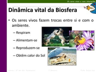 Os seres vivos e suas interações




Dinâmica vital da Biosfera
• Os seres vivos fazem trocas entre si e com o
  ambiente.
      – Respiram

      – Alimentam-se

      – Reproduzem-se

      – Obtêm calor do Sol


Ciências – 6º ano Ens. Fundamental   1º Bimestre                  Profa. Rebeca Vale
 