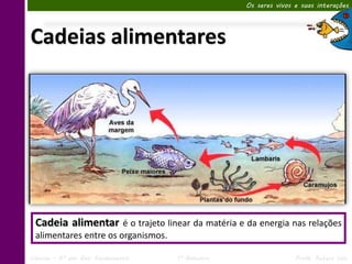 Os seres vivos e suas interações




Cadeias alimentares




  Cadeia alimentar é o trajeto linear da matéria e da energia nas relações
  alimentares entre os organismos.

Ciências – 6º ano Ens. Fundamental   1º Bimestre                  Profa. Rebeca Vale
 