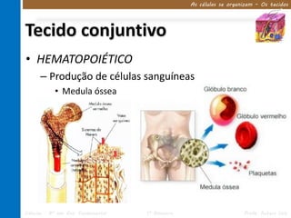 As células se organizam – Os tecidos




Tecido conjuntivo
• HEMATOPOIÉTICO
      – Produção de células sanguíneas
            • Medula óssea




Ciências – 8º ano Ens. Fundamental   1º Bimestre                      Profa. Rebeca Vale
 