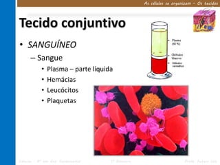 As células se organizam – Os tecidos




Tecido conjuntivo
• SANGUÍNEO
      – Sangue
            •   Plasma – parte líquida
            •   Hemácias
            •   Leucócitos
            •   Plaquetas




Ciências – 8º ano Ens. Fundamental   1º Bimestre                      Profa. Rebeca Vale
 
