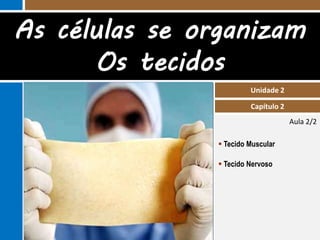 As células se organizam
       Os tecidos
                         Unidade 2

                         Capítulo 2
                                      Aula 2/2

                 Tecido Muscular

                 Tecido Nervoso
 