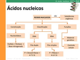 Os ácidos nucléicos: DNA e RNA




Ácidos nucleicos
                                                                        são         Substâncias
                                         ÁCIDOS NUCLEICOS
                                                                                     orgânicas



     Constituição                            Classificação                         Funções



    Nucleotídeos                       DNA                        RNA
                                                                                       Material
                                                                                       genético
Fosfato + Pentose +
                                     Fita dupla            Fita simples                 Controle
 Base nitrogenada
                                                                                         celular

                          P + Desoxirribose +                    P + Ribose +
                                ATCG                               AUCG
Ciências – 9º ano Ens. Fundamental                  1º Período                        Profa. Rebeca Vale
 