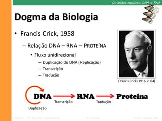 Os ácidos nucléicos: DNA e RNA




Dogma da Biologia
• Francis Crick, 1958
      – Relação DNA – RNA – PROTEÍNA
            • Fluxo unidirecional
                  – Duplicação do DNA (Replicação)
                  – Transcrição
                  – Tradução
                                                                 Francis Crick (1916-2004)



              DNA                          RNA                  Proteína
                             Transcrição           Tradução
          Duplicação

Ciências – 9º ano Ens. Fundamental          2º Período                     Profa. Rebeca Vale
 