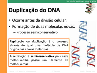 Os ácidos nucléicos: DNA e RNA




Duplicação do DNA
• Ocorre antes da divisão celular.
• Formação de duas moléculas novas.
      – Processo semiconservativo

 Replicação ou duplicação é o processo
 através do qual uma molécula de DNA
 origina duas novas moléculas.

 A replicação é semiconservativa pois cada
 molécula-filha possui um filamento da
 molécula-mãe.

Ciências – 9º ano Ens. Fundamental   2º Período                Profa. Rebeca Vale
 