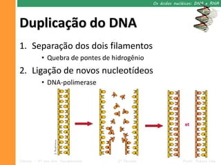 Os ácidos nucléicos: DNA e RNA




Duplicação do DNA
1. Separação dos dois filamentos
            • Quebra de pontes de hidrogênio
2. Ligação de novos nucleotídeos
            • DNA-polimerase




Ciências – 9º ano Ens. Fundamental   2º Período                Profa. Rebeca Vale
 