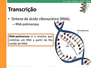 Os ácidos nucléicos: DNA e RNA




Transcrição
• Síntese de ácido ribonucleico (RNA).
      – RNA-polimerase


 RNA-polimerase é a enzima que
 sintetiza um RNA a partir da fita
 molde do DNA.




Ciências – 9º ano Ens. Fundamental   2º Período                Profa. Rebeca Vale
 