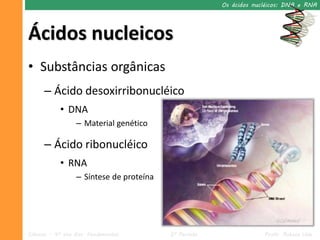 Os ácidos nucléicos: DNA e RNA




Ácidos nucleicos
• Substâncias orgânicas
      – Ácido desoxirribonucléico
            • DNA
                  – Material genético

      – Ácido ribonucléico
            • RNA
                  – Síntese de proteína




Ciências – 9º ano Ens. Fundamental        2º Período                Profa. Rebeca Vale
 