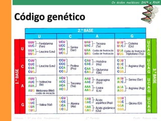 Os ácidos nucléicos: DNA e RNA




Código genético




Ciências – 9º ano Ens. Fundamental   2º Período                Profa. Rebeca Vale
 