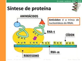 Os ácidos nucléicos: DNA e RNA




Síntese de proteína
                                            Anticódon é a trinca de
                                            nucleotídeos do RNAt.




Ciências – 9º ano Ens. Fundamental   2º Período                Profa. Rebeca Vale
 