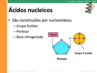 Os ácidos nucléicos: DNA e RNA




Ácidos nucleicos
• São constituídos por nucleotídeos.
      – Grupo fosfato
      – Pentose
      – Base nitrogenada




                                           Pentose



Ciências – 9º ano Ens. Fundamental   2º Período                   Profa. Rebeca Vale
 