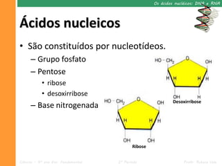 Os ácidos nucléicos: DNA e RNA




Ácidos nucleicos
• São constituídos por nucleotídeos.
      – Grupo fosfato
      – Pentose
            • ribose
            • desoxirribose
                                                             Desoxirribose
      – Base nitrogenada



                                            Ribose


Ciências – 9º ano Ens. Fundamental   2º Período                   Profa. Rebeca Vale
 