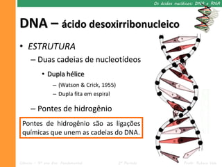Os ácidos nucléicos: DNA e RNA




DNA – ácido desoxirribonucleico
• ESTRUTURA
      – Duas cadeias de nucleotídeos
            • Dupla hélice
                  – (Watson & Crick, 1955)
                  – Dupla fita em espiral

      – Pontes de hidrogênio
 Pontes de hidrogênio são as ligações
 químicas que unem as cadeias do DNA.


Ciências – 9º ano Ens. Fundamental           2º Período                Profa. Rebeca Vale
 