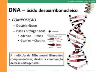 Os ácidos nucléicos: DNA e RNA




DNA – ácido desoxirribonucleico
• COMPOSIÇÃO
      – Desoxirribose
      – Bases nitrogenadas
            • Adenina – Timina
            • Guanina – Citosina



  A molécula de DNA possui filamentos
  complementares, devido à combinação
  de bases nitrogenadas.

Ciências – 9º ano Ens. Fundamental   2º Período                Profa. Rebeca Vale
 