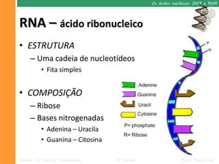 Os ácidos nucléicos: DNA e RNA




RNA – ácido ribonucleico
• ESTRUTURA
      – Uma cadeia de nucleotídeos
            • Fita simples


• COMPOSIÇÃO
      – Ribose
      – Bases nitrogenadas
            • Adenina – Uracila
            • Guanina – Citosina

Ciências – 9º ano Ens. Fundamental   2º Período                Profa. Rebeca Vale
 