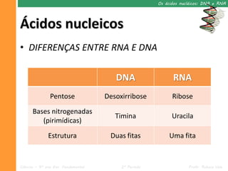 Os ácidos nucléicos: DNA e RNA




Ácidos nucleicos
• DIFERENÇAS ENTRE RNA E DNA

                                        DNA                  RNA
               Pentose               Desoxirribose           Ribose
      Bases nitrogenadas
                                        Timina               Uracila
         (pirimídicas)
              Estrutura               Duas fitas            Uma fita


Ciências – 9º ano Ens. Fundamental        2º Período                Profa. Rebeca Vale
 