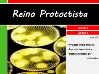 Reino Protoctista
                      Unidade 2

                      Capítulo 3
                                   Aula 2/2

             Protistas e meio ambiente
             Importância econômica
             Doenças causadas por
                              protozoários
 