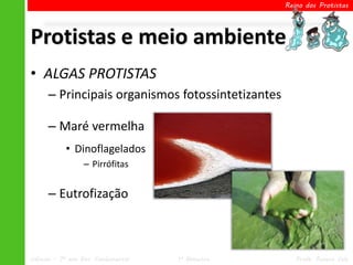Reino dos Protistas




Protistas e meio ambiente
• ALGAS PROTISTAS
      – Principais organismos fotossintetizantes

      – Maré vermelha
            • Dinoflagelados
                  – Pirrófitas


      – Eutrofização



Ciências – 7º ano Ens. Fundamental   1º Bimestre      Profa. Rebeca Vale
 