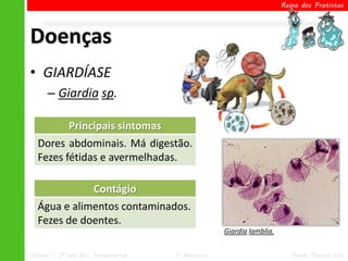 Reino dos Protistas




Doenças
• GIARDÍASE
      – Giardia sp.

             Principais sintomas
  Dores abdominais. Má digestão.
  Fezes fétidas e avermelhadas.

                      Contágio
  Água e alimentos contaminados.
  Fezes de doentes.
                                                   Giardia lamblia.


Ciências – 7º ano Ens. Fundamental   1º Bimestre                         Profa. Rebeca Vale
 