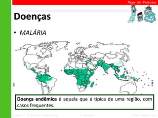 Reino dos Protistas




Doenças
• MALÁRIA
      – Plasmodium sp.




                                                      Hemácias infectadas.


          Anopheles sp. ou Mosquito-prego


      Principais sintomas               Contágio
  Doença endêmica é aquela que é típica de uma região, com
  casos frequentes.
  Febres regulares.         Mosquito Anopheles darlingii.
Ciências – 7º ano Ens. Fundamental          1º Bimestre                         Profa. Rebeca Vale
 