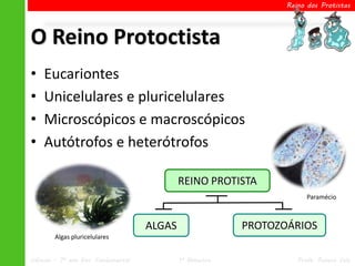 Reino dos Protistas




O Reino Protoctista
•   Eucariontes
•   Unicelulares e pluricelulares
•   Microscópicos e macroscópicos
•   Autótrofos e heterótrofos

                                             REINO PROTISTA
                                                                        Paramécio



                                     ALGAS                 PROTOZOÁRIOS
        Algas pluricelulares


Ciências – 7º ano Ens. Fundamental           1º Bimestre             Profa. Rebeca Vale
 