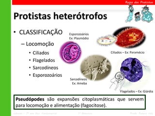 Reino dos Protistas




Protistas heterótrofos
• CLASSIFICAÇÃO                      Esporozoários
                                     Ex: Plasmódio
      – Locomoção
            •   Ciliados                                Ciliados – Ex: Paramécio

            •   Flagelados
            •   Sarcodíneos
            •   Esporozoários
                                     Sarcodíneos
                                      Ex: Ameba

                                                              Flagelados – Ex: Giárdia

 Pseudópodes são expansões citoplasmáticas que servem
 para locomoção e alimentação (fagocitose).
Ciências – 7º ano Ens. Fundamental        1º Bimestre                Profa. Rebeca Vale
 