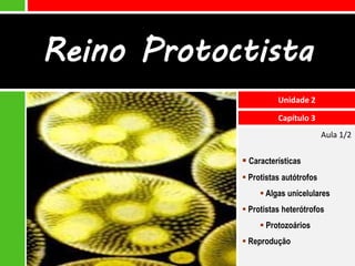 Reino Protoctista
                      Unidade 2

                      Capítulo 3
                                     Aula 1/2

             Características
             Protistas autótrofos
                  Algas unicelulares
             Protistas heterótrofos
                  Protozoários
             Reprodução
 