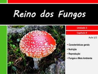 Reino dos Fungos
                        Unidade 2

                        Capítulo 4
                                     Aula 1/2

            Características gerais
            Nutrição
            Reprodução
            Fungos e Meio Ambiente
 
